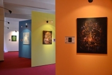 Foto 3 - El fraile Miguel Castellanos expone su mirada artística al universo de San Francisco