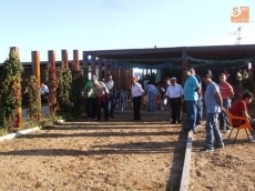 Foto 4 - Jornada festiva con el deporte como protagonista