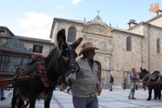 Foto 6 - La marcha arriera por la Vía de Plata une a peregrinos del Camino de Santiago y la Marcha Teresiana