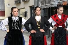 Foto 5 - La marcha arriera por la Vía de Plata une a peregrinos del Camino de Santiago y la Marcha Teresiana