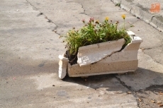 Foto 4 - 1Foto: La ciudad ‘estrena’ papeleras horizontales