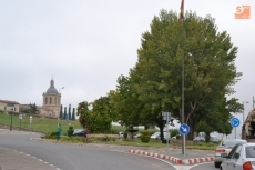 Foto 5 - Ciudad Rodrigo empieza a decir adiós a su emblemático Árbol Gordo