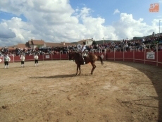 Foto 5 - Tarde de recortes como preámbulo del encierro a caballo 