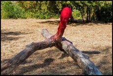 Foto 5 - Un bosque de ‘Arte Efímero’ en el corazón de la Sierra