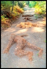 Foto 4 - Un bosque de ‘Arte Efímero’ en el corazón de la Sierra