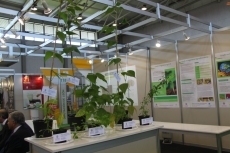 Plantas que acoge el stand de la USAL en el pabellón central