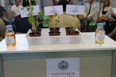 Plantas que acoge el stand de la USAL en el pabellón central