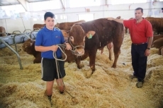 Foto 3 - La exposici&oacute;n de ganado, una de las grandes atracciones de Salamaq