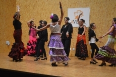 Foto 4 - SALAMANCArtv AL D&Iacute;A pregona las fiestas de Garrido, Salesas y Labradores