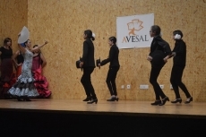 Foto 3 - SALAMANCArtv AL D&Iacute;A pregona las fiestas de Garrido, Salesas y Labradores