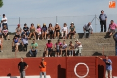 Foto 6 - Vibrante primer encierro de las fiestas con bonitos novillos de Espioja