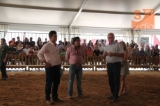 Foto 4 - Dos toros charoleses de Mariano de Diego, campeón y subcampeón adultos del Concurso Nacional