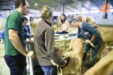 Foto 5 - El trabajo en la feria arranca antes de la apertura de las puertas