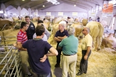 Foto 4 - El trabajo en la feria arranca antes de la apertura de las puertas