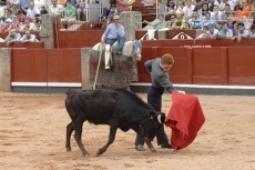 Delirio en la Glorieta con ‘El Juli’ 