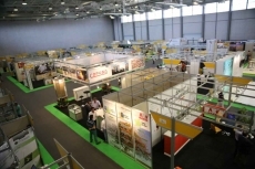 La exposici&oacute;n de ganado, una de las grandes atracciones de Salamaq