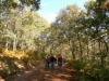 Foto 2 - Disfrutando de la llegada del otoño entre La Honfría y Castildecabras