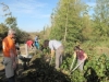 Foto 2 - Jornada de voluntariado ambiental para poner en valor la rivera de Cañedo