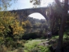 Foto 2 - Primera ruta senderista de la temporada con el otoño en todo su esplendor