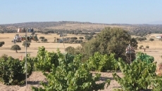 Foto 3 - Un 'ingenio mec&aacute;nico' para atemorizar a las aves en Alaraz