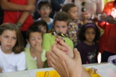 Foto 3 - Cientos de salmantinos descubren la riqueza ornitológica de la ciudad en el Día de las Aves