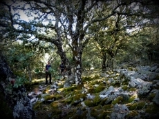 Foto 6 - Un escenario paradis&iacute;aco para un sue&ntilde;o senderista