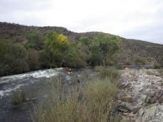 Foto 4 - En piragua hasta Siega Verde