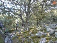 Foto 4 - Disfrutando de la llegada del otoño entre La Honfría y Castildecabras