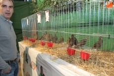 Foto 6 - Actividades relacionadas con la caza, y la muestra aviar complementan la Feria Agroalimentaria