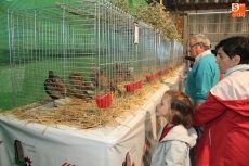 Foto 5 - Actividades relacionadas con la caza, y la muestra aviar complementan la Feria Agroalimentaria