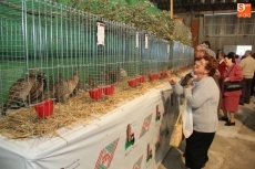 Foto 4 - Actividades relacionadas con la caza, y la muestra aviar complementan la Feria Agroalimentaria