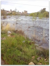 Foto 5 - Las persistentes lluvias ponen a prueba los cauces de ríos y arroyos de la Comarca
