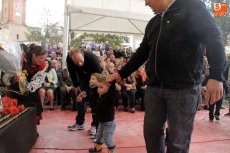 Foto 4 - Recital de versos y flores