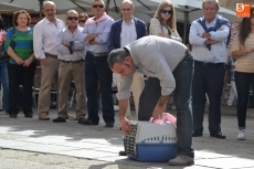 Foto 4 - Un gran lazo para teñir aún más de rosa la Plaza mirobrigense
