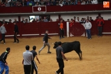 Foto 5 - El último encierro deja un joven herido de carácter leve por traumatismo con heridas