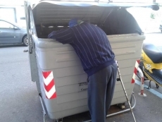 Foto 4 - "Busco fruta, déjeme en paz"