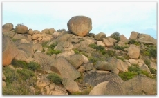 Foto 6 - “Si no colaboramos en estas actividades algún día nos arrepentiremos”