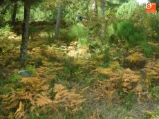 FOTO: Raúl Hernández