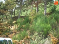 FOTO: Raúl Hernández