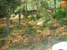 FOTO: Raúl Hernández