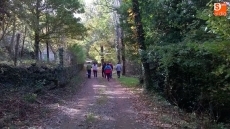 Foto 4 - Alumnos y monitores del Centro Ocupacional de Tamames descubren el otoño en La Honfría