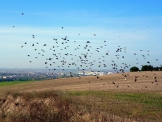 Foto 3 - Descubrir el otoño en sus paisajes 