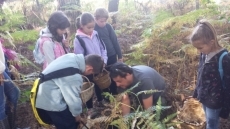Foto 6 - Éxito de las V Jornadas Micológicas Infantiles de El Rebollar