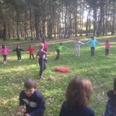 Foto 4 - Éxito de las V Jornadas Micológicas Infantiles de El Rebollar