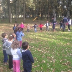 Foto 3 - Éxito de las V Jornadas Micológicas Infantiles de El Rebollar