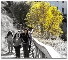 Foto 4 - Descubriendo la Vía de la Plata desde Béjar a Baños de Montemayor