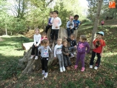 Foto 6 - A la rica castaña en el bosque de La Honfría