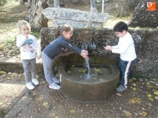 Foto 4 - A la rica castaña en el bosque de La Honfría