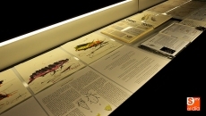 Foto 5 - Luci&eacute;rnagas para hablar de la oscuridad y la luz en una exposici&oacute;n de Ciudad Pizarro