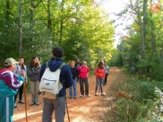 Disfrutando de la llegada del oto&ntilde;o entre La Honfr&iacute;a y Castildecabras